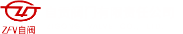 自貢（gòng）閥門有限責任公司